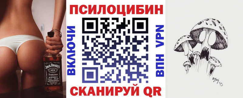 мега ссылка  Новокузнецк  Галлюциногенные грибы Psilocybine cubensis 