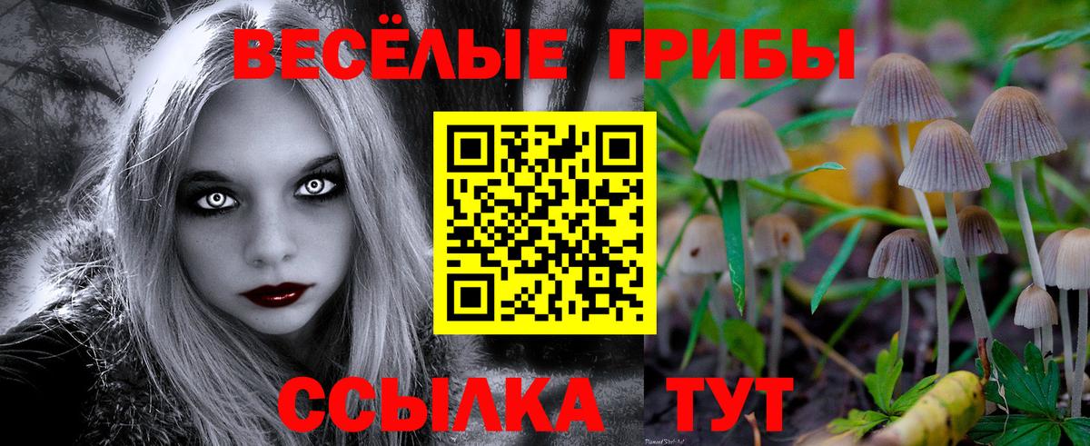 Псилоцибиновые грибы мухоморы  Вход с VPN  Новокузнецк 